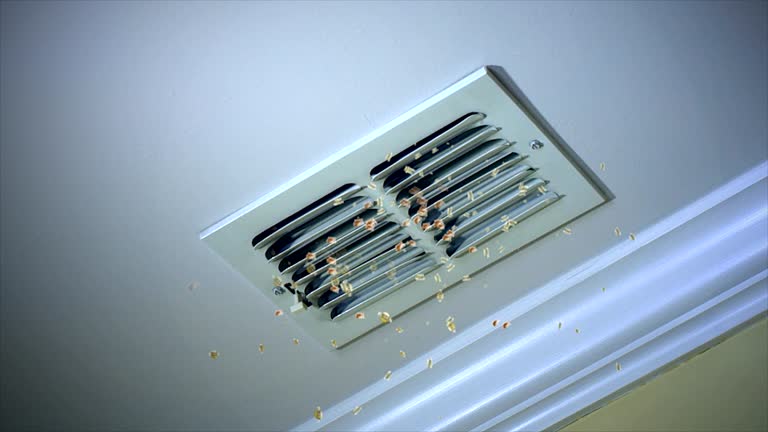 Best Affordable Air Duct Cleaning  in Daisetta, TX