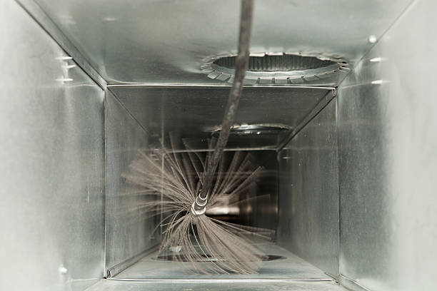 Best HVAC Air Duct Cleaning  in Daisetta, TX