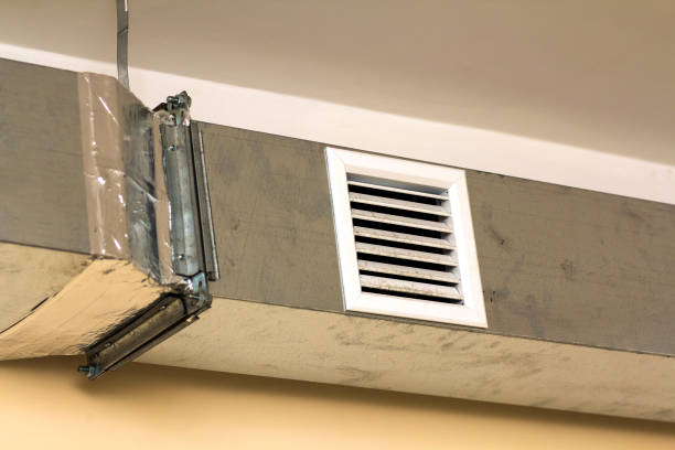 Best Air Duct Cleaning Near Me  in Daisetta, TX
